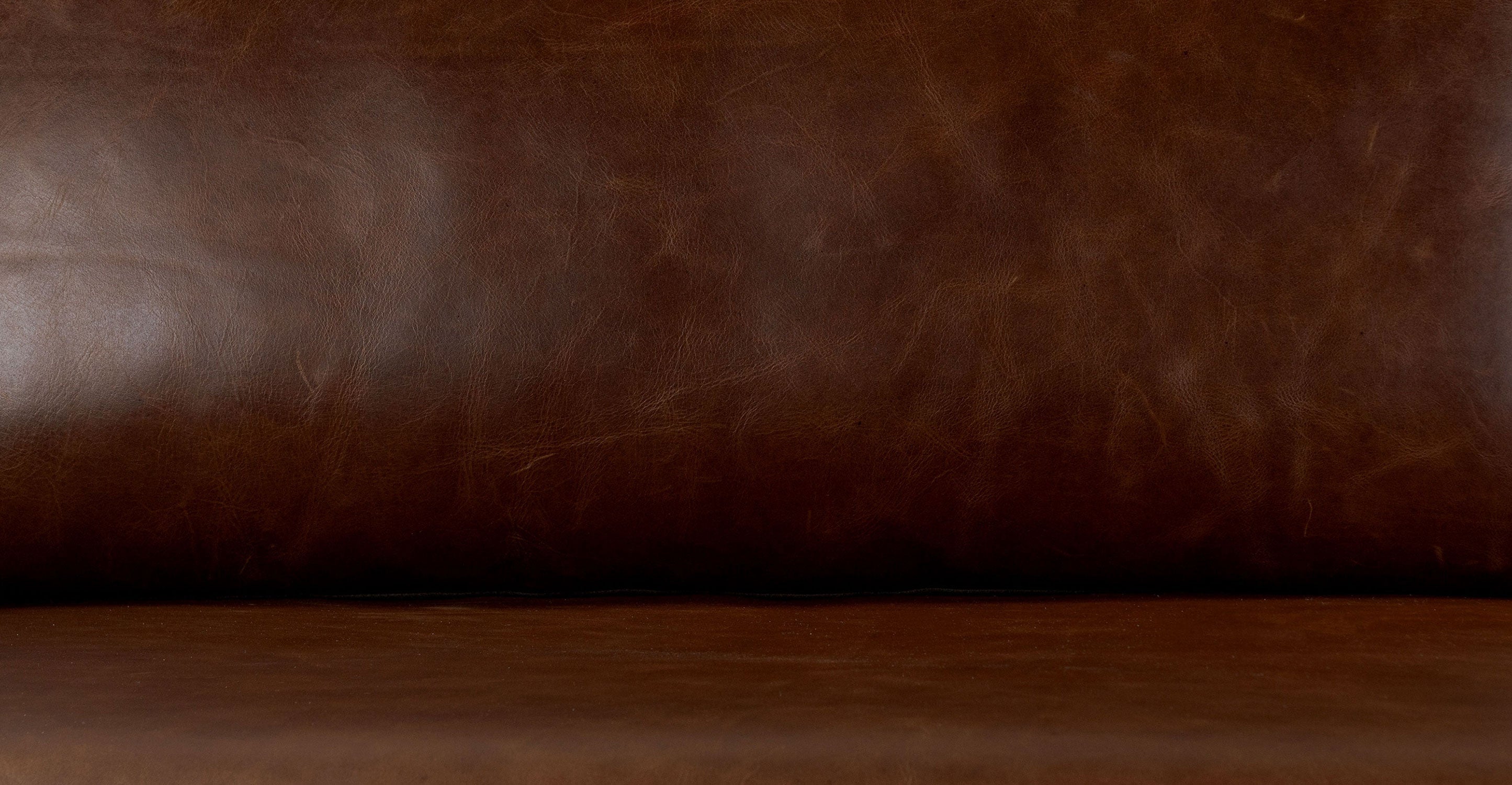 Biltmore Leather Pull-Out Convertible Sleeper Sofa