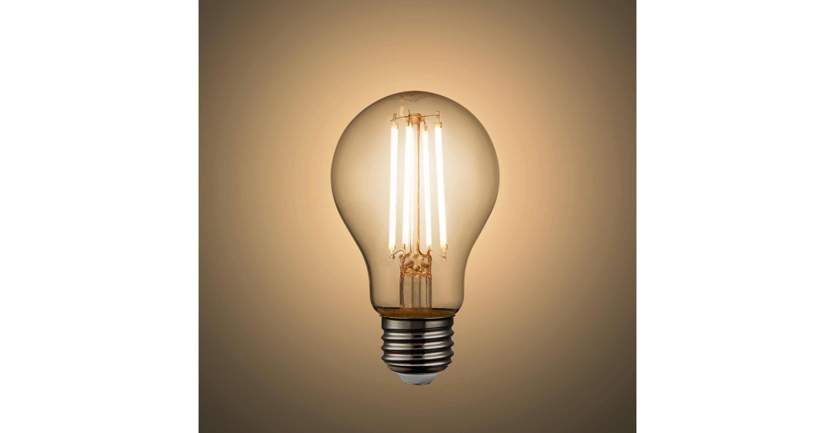 Aria A19 Shape LED Filament Light Bulb