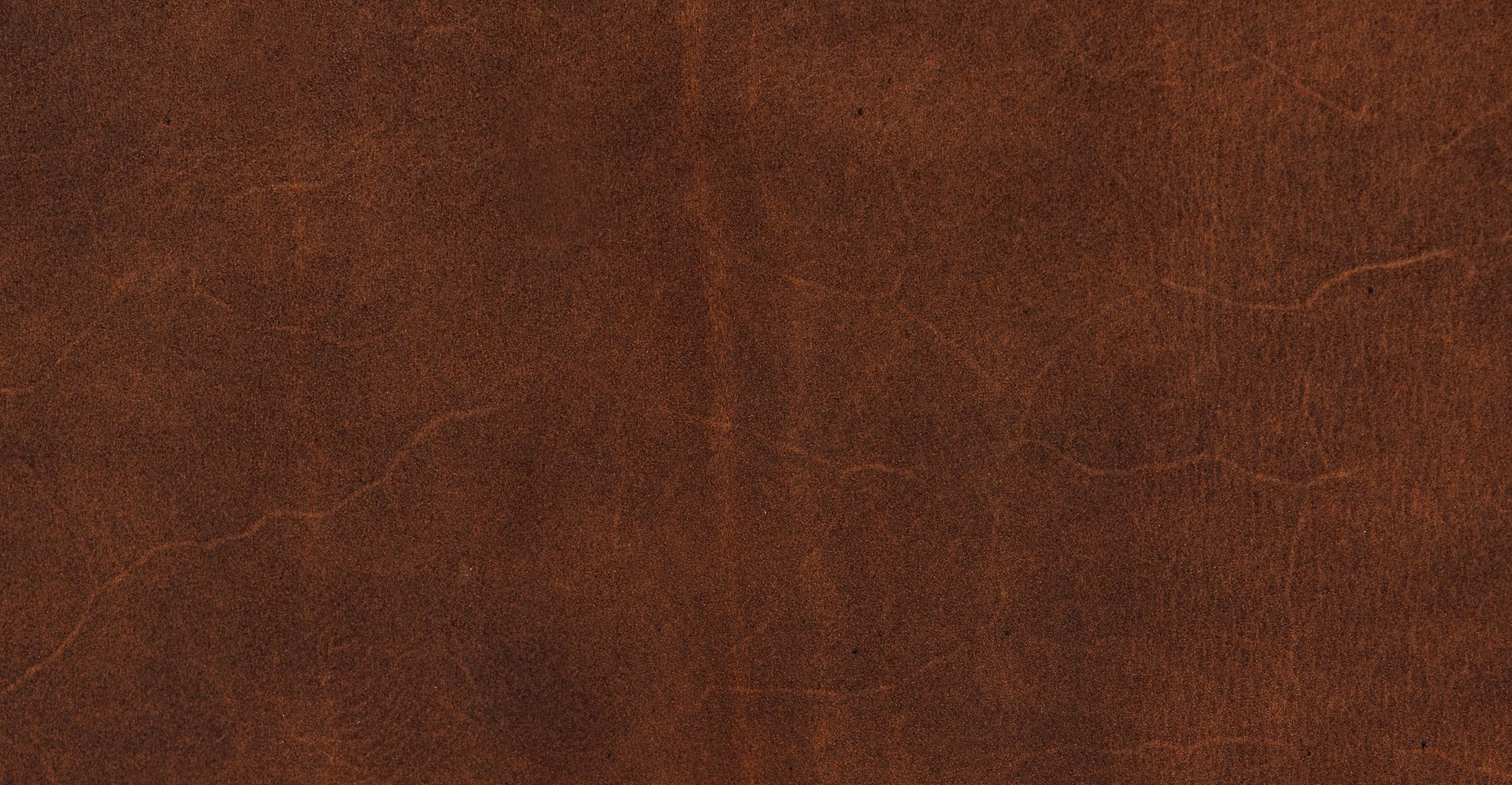 Biltmore Leather Pull-Out Convertible Sleeper Sofa