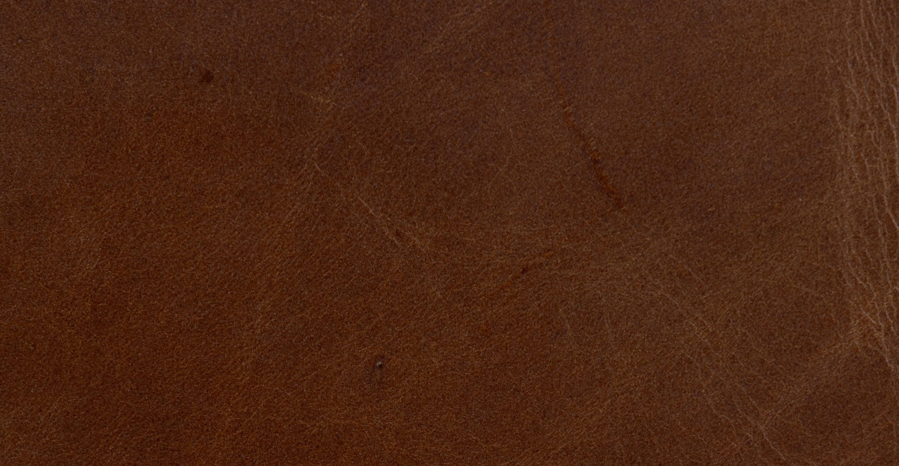 Biltmore Leather Pull-Out Convertible Sleeper Sofa