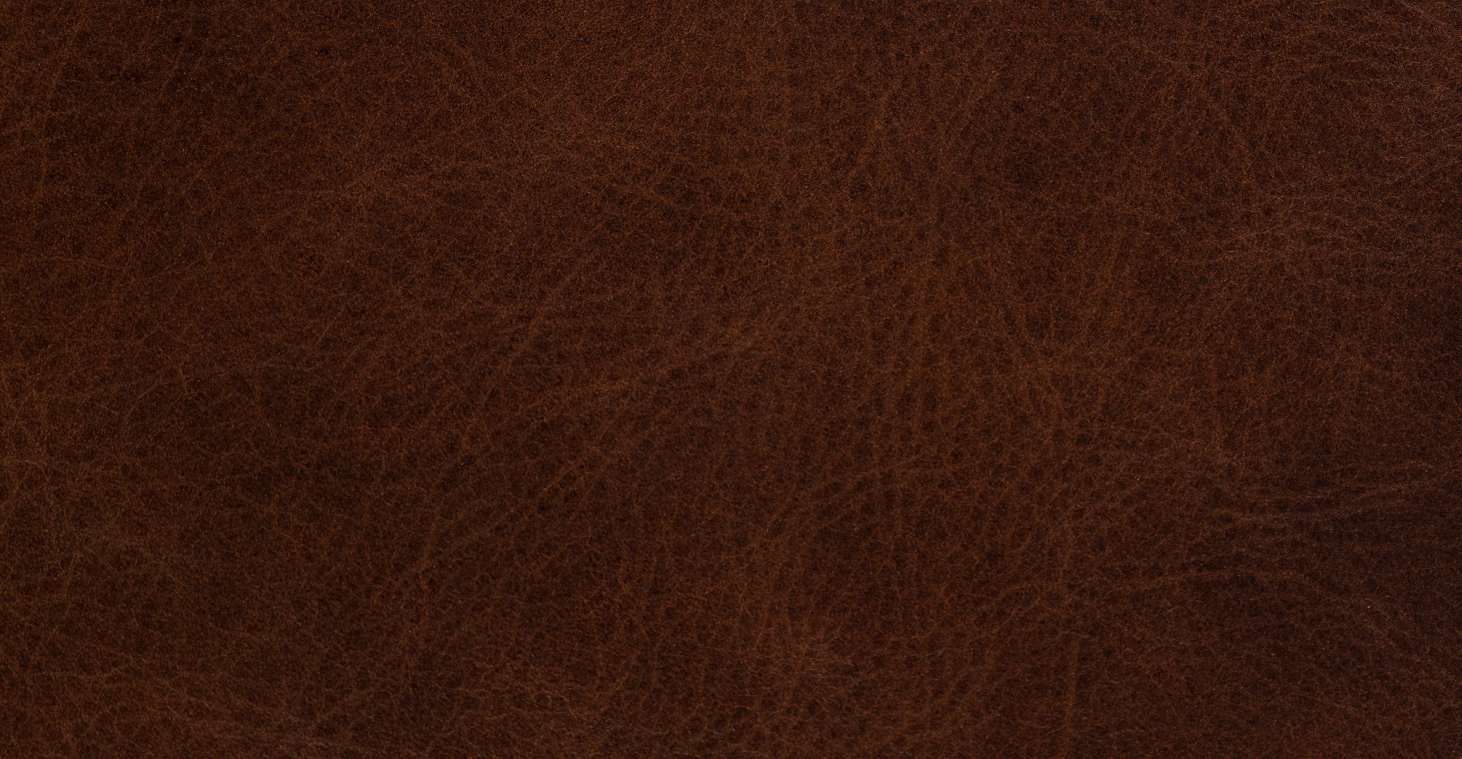 Biltmore Leather Pull-Out Convertible Sleeper Sofa