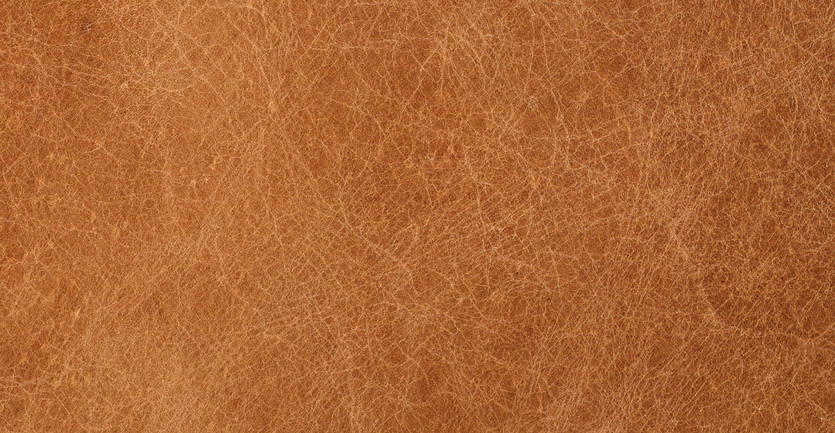 Napa 72" Apartment Sofa