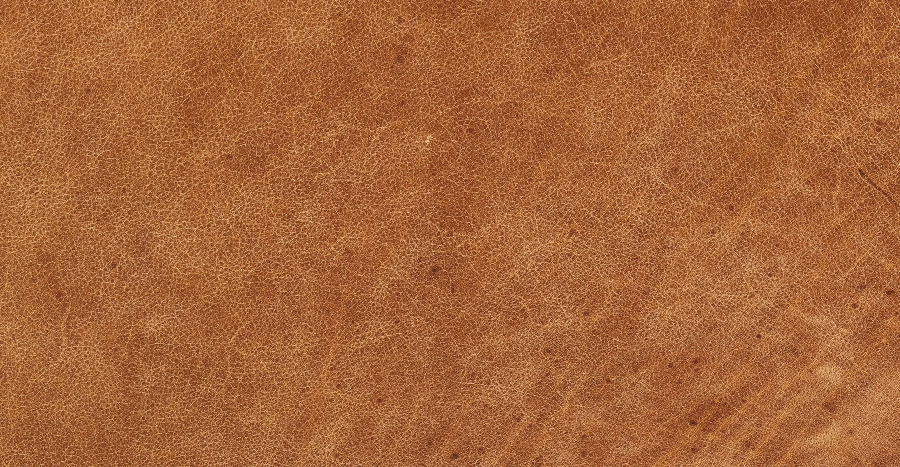 Calle 75" Apartment Sofa