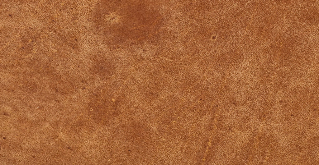 Napa 72" Apartment Sofa