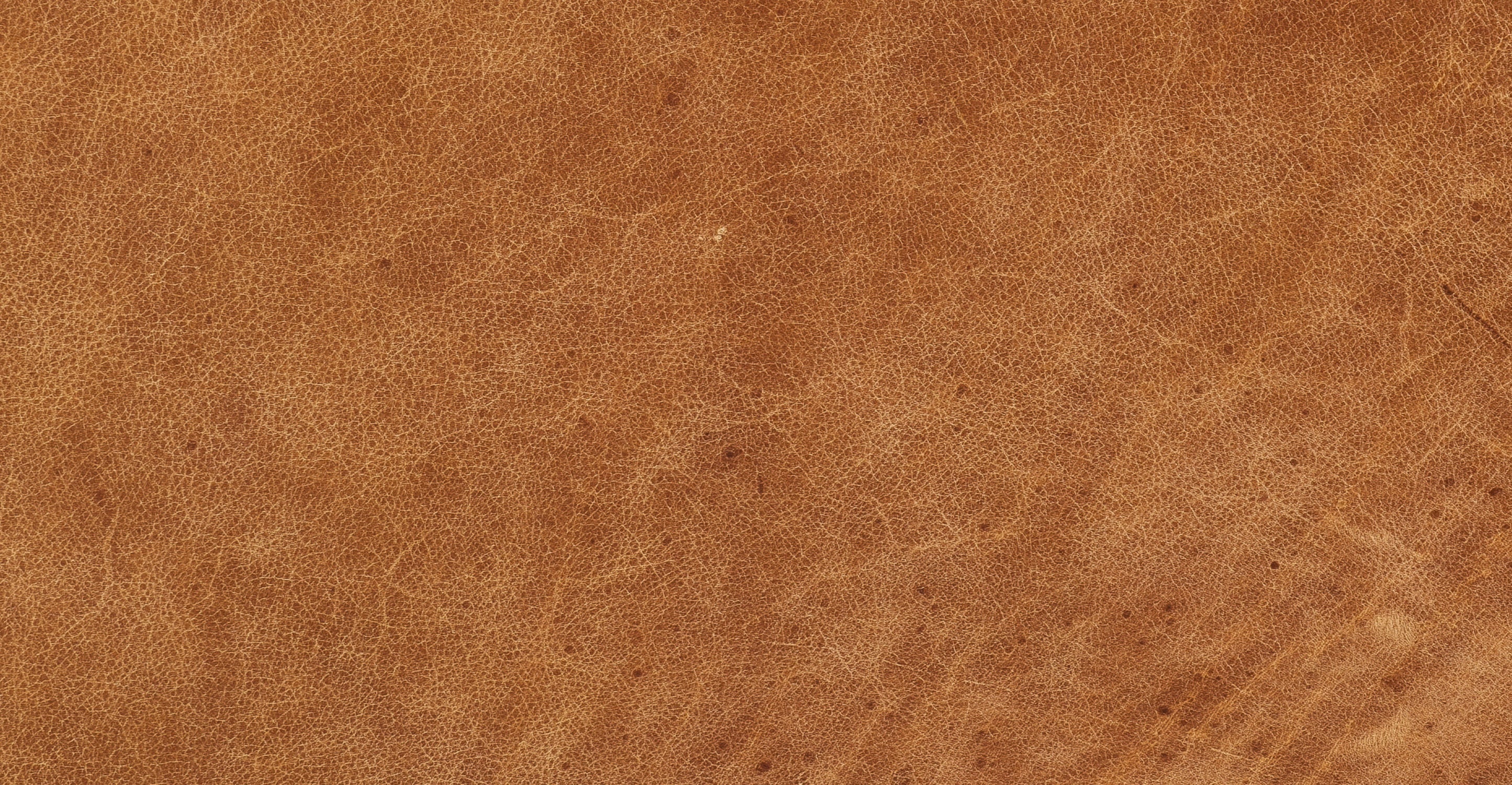 Calle 75" Apartment Sofa